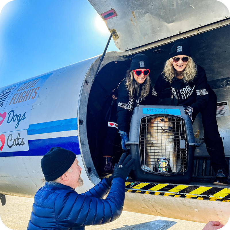 Second Chance Rescue Flight