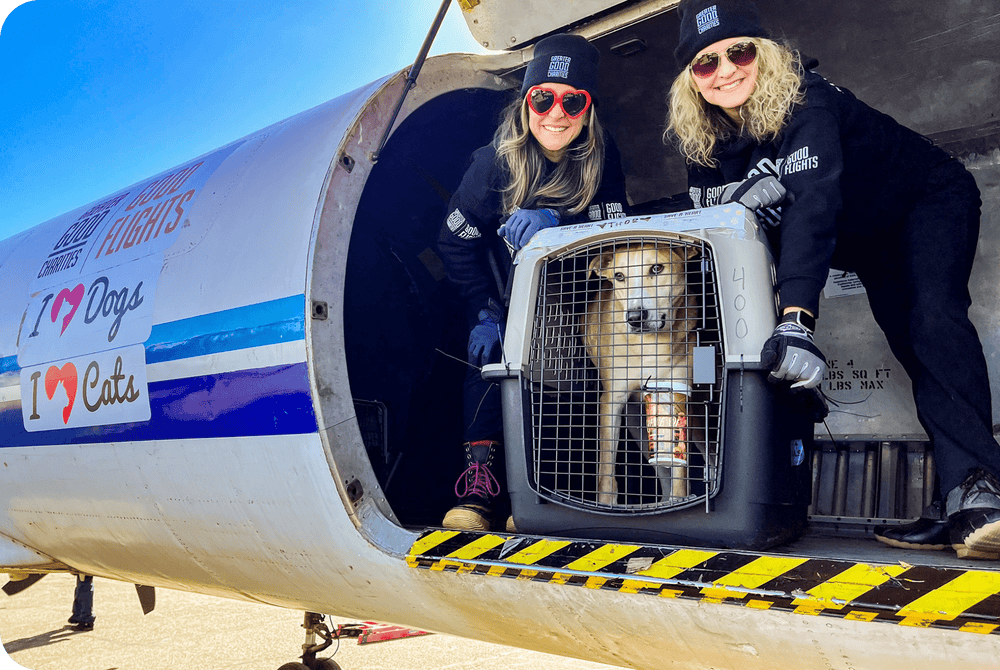 Second Chance Rescue Flight